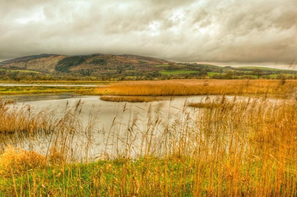 Shelduck Cottage Mainsriddle Bagian luar foto